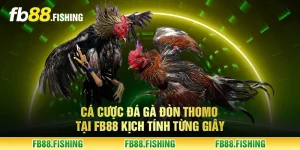 Cá cược đá gà đòn Thomo tại FB88 kịch tính từng giây