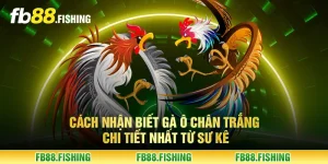 Cách nhận biết gà ô chân trắng chi tiết nhất từ sư kê