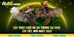 Cập nhật luật đá gà Thomo tại FB88 chi tiết, mới nhất 2025