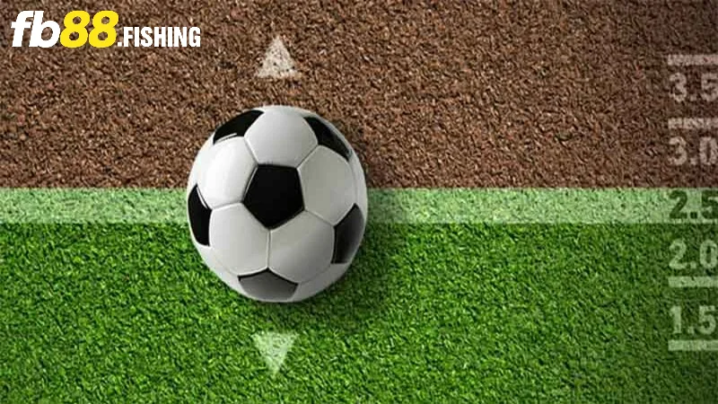 Dạng cược bóng đá ngon ăn